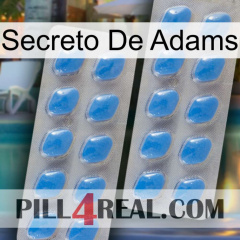 Adams Secret 23